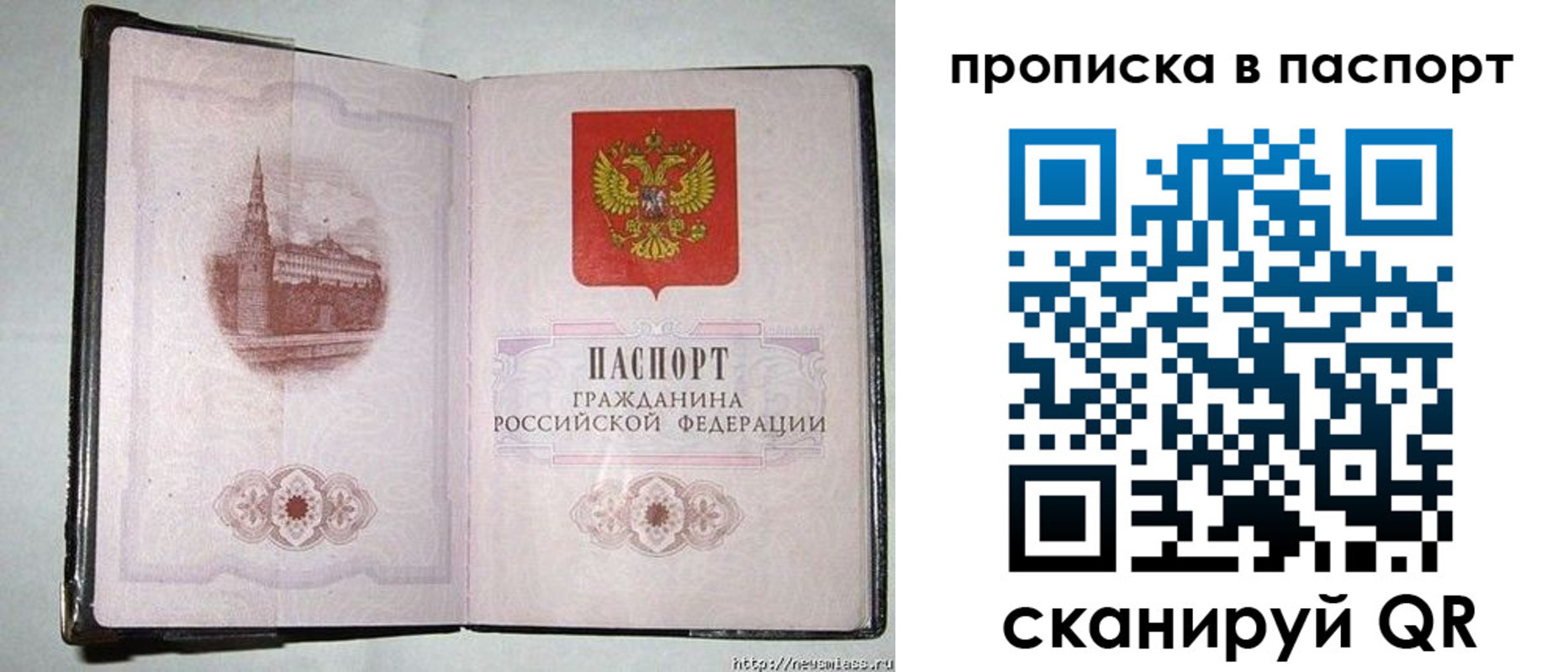 прописка гарантия в Фрязино
