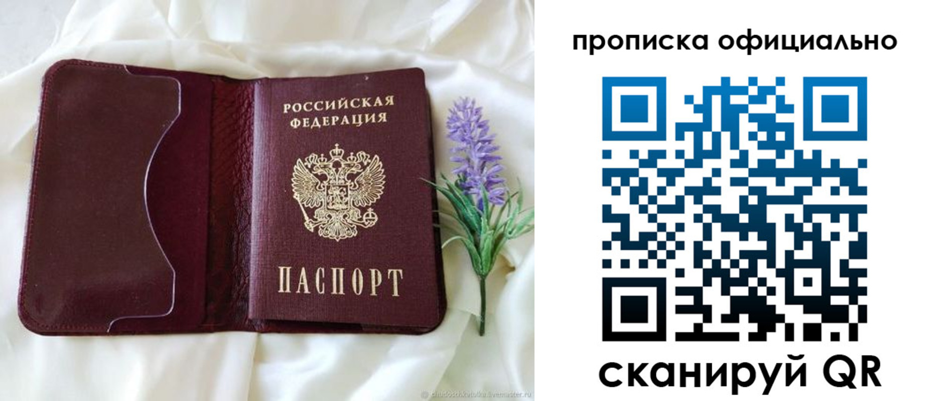 прописка поиск в Фрязино